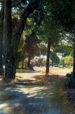 La Adrada - Rutas de la Asociaci�n de Amigos de La Adrada, Ti�tar, Valle y Monta�a
